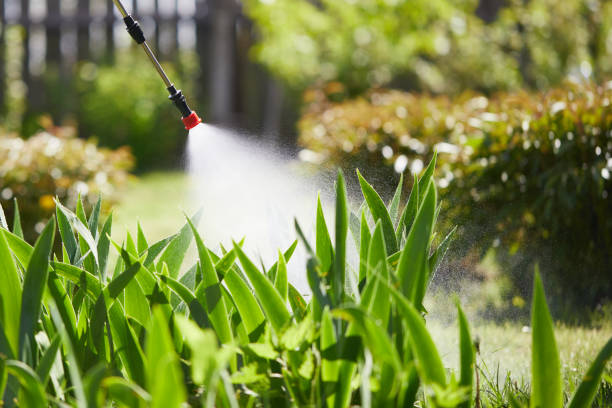 24/7 Emergency Cockroach Control experts in Elberta, AL
