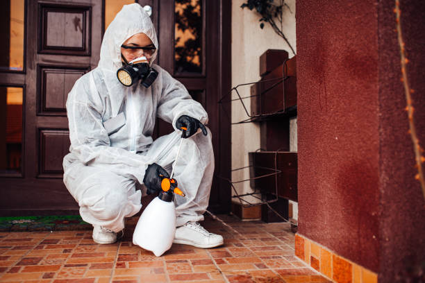 Reliable Cockroach Control contractor in Elberta, AL by Nex Pest Control